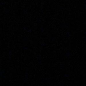 Meet your Posher, Dominic